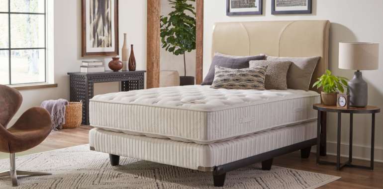 Shifman – Austin- Plush