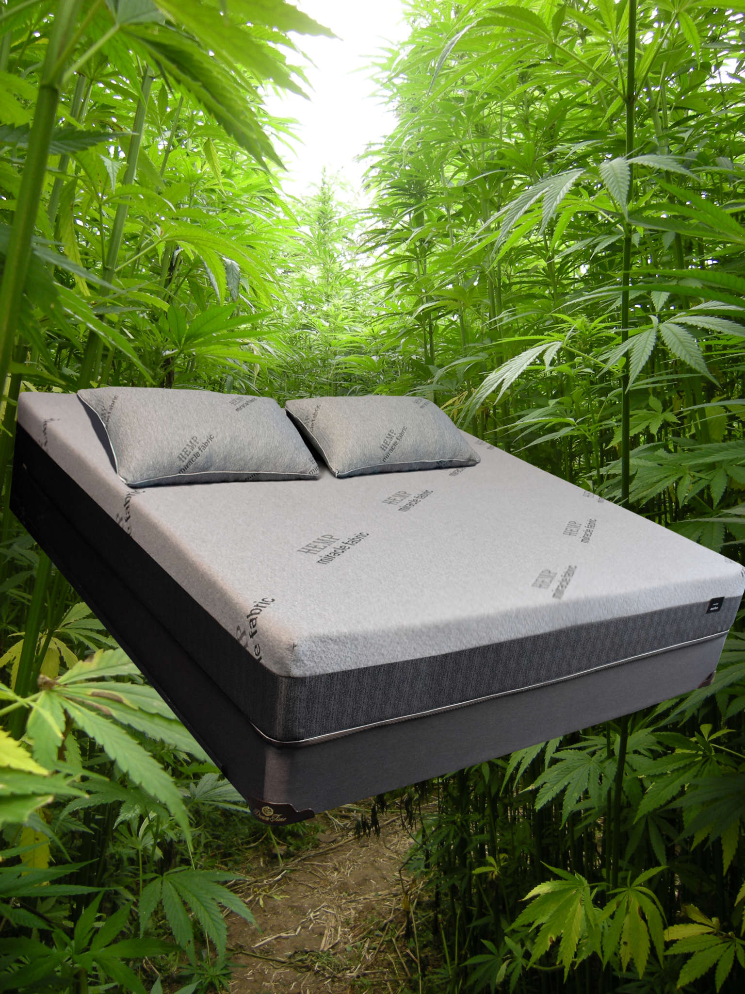 Cannabeds Hemp Bedding Sleep & Dream Luxury Mattresses