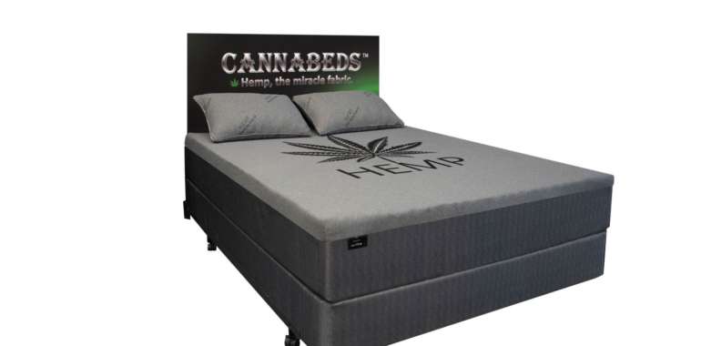 Cannabeds – Melody